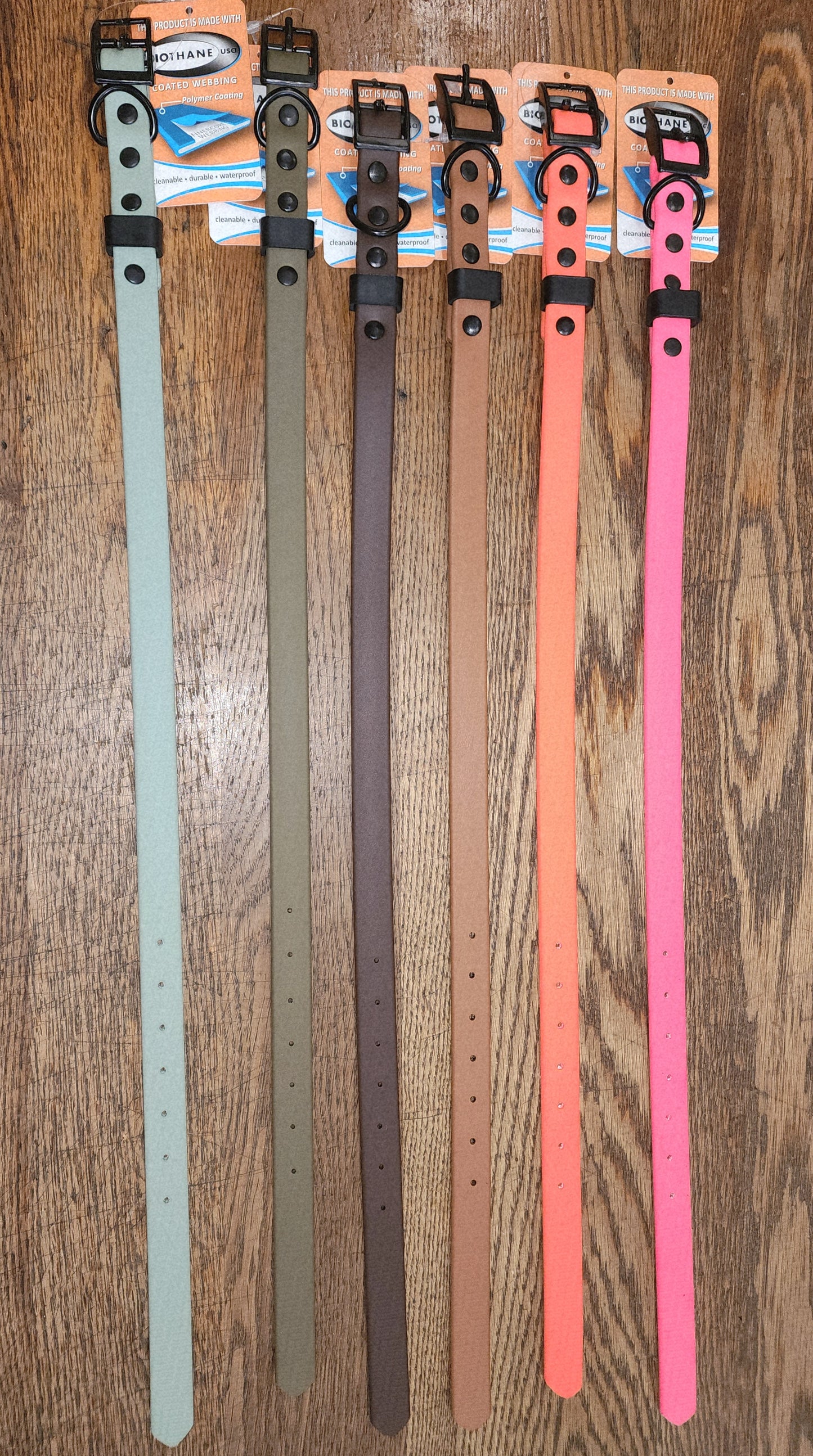Biothane Coated Nylon Dog Collar Small