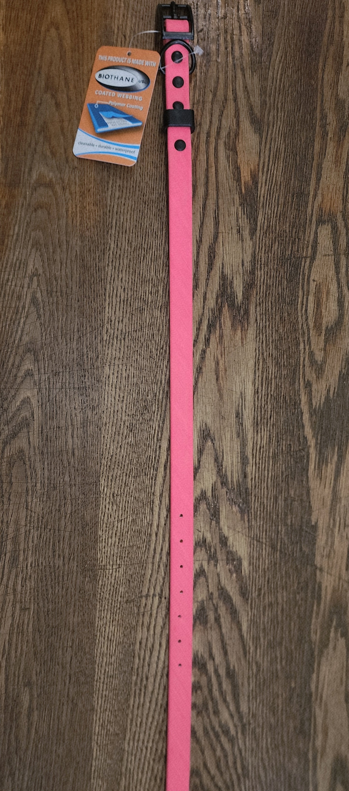 Biothane Coated Nylon Dog Collar Medium