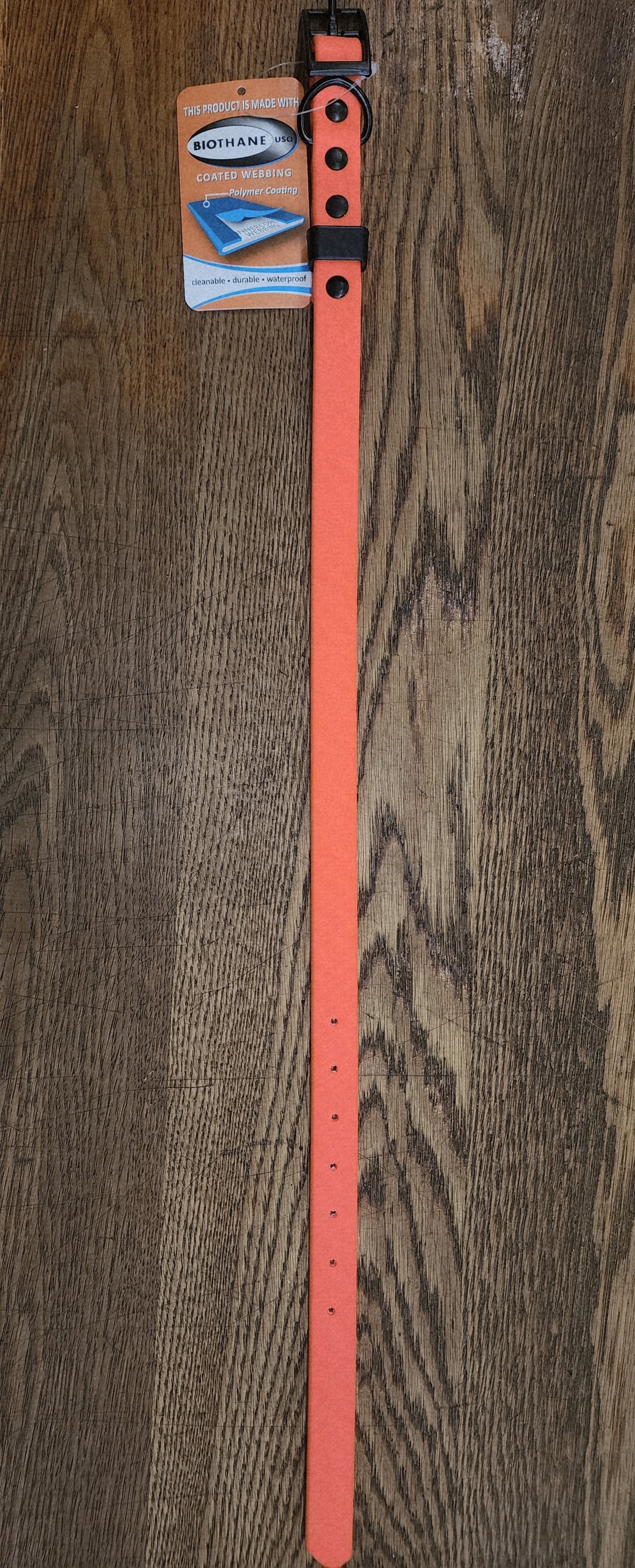 Biothane Coated Nylon Dog Collar Medium