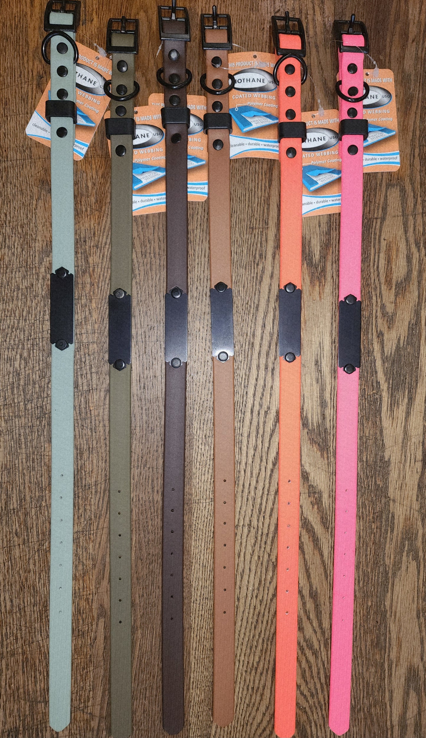 Biothane Coated Nylon Dog Collar w/ Name Plate Medium