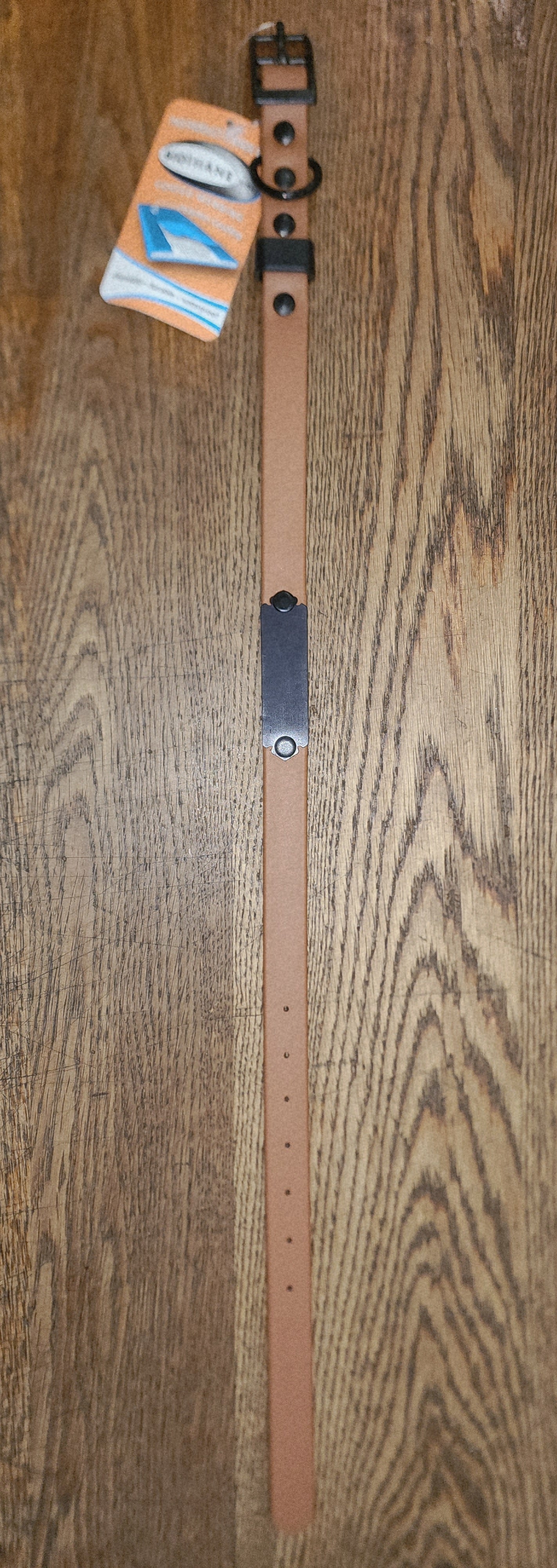 Biothane Coated Nylon Dog Collar w/ Name Plate Medium