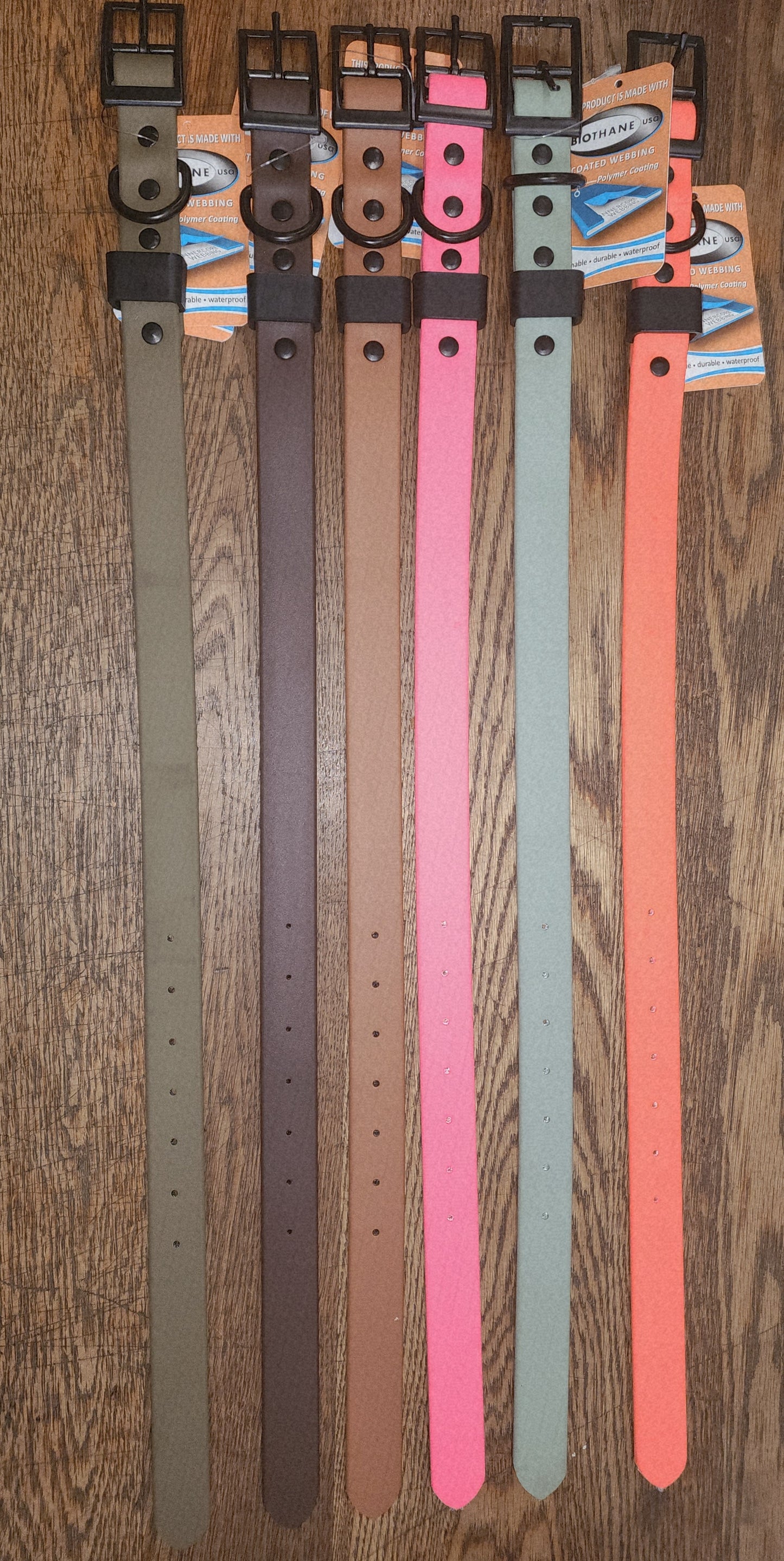 Biothane Coated Nylon Dog Collar Large