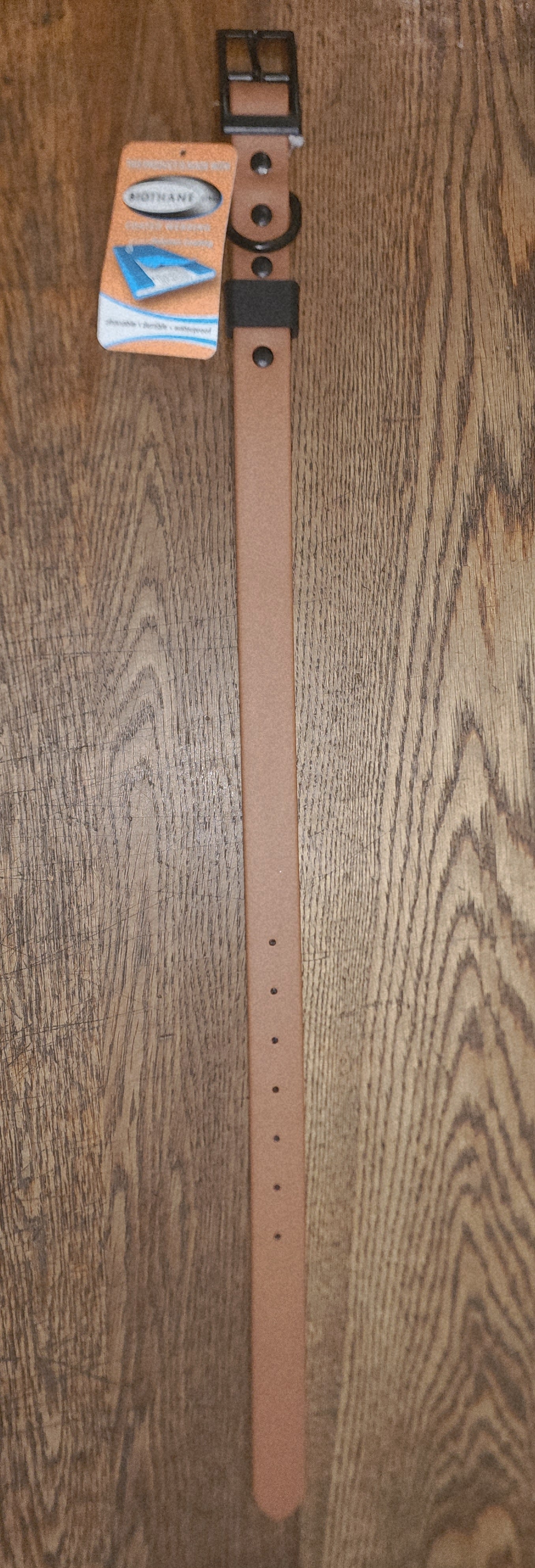Biothane Coated Nylon Dog Collar Large