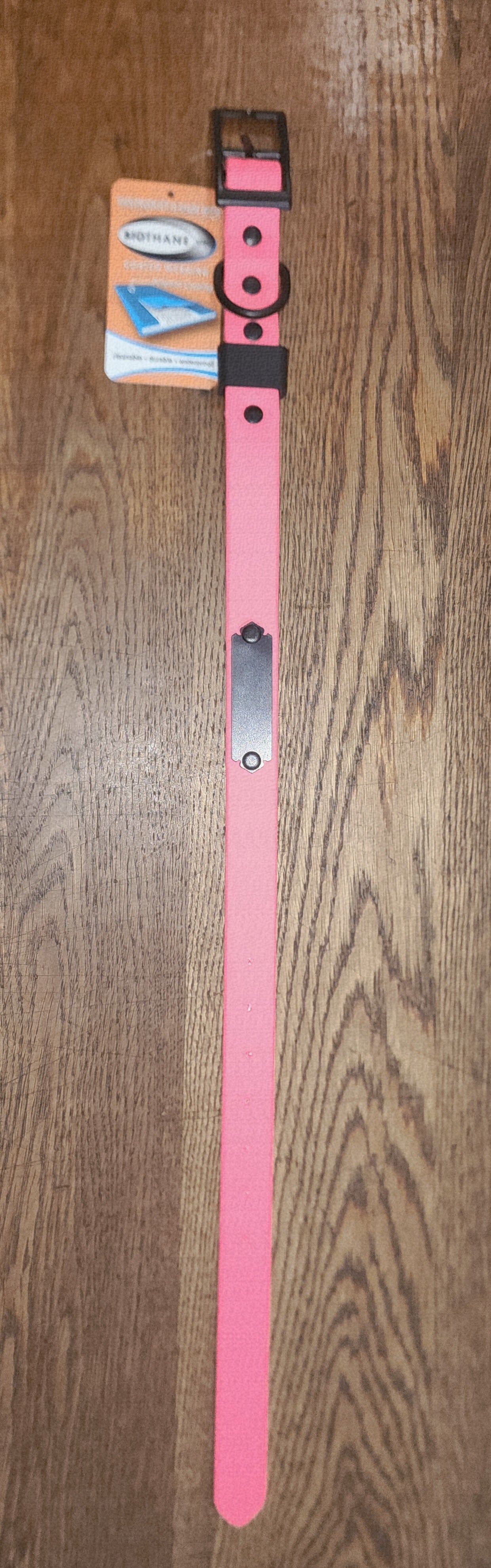 Biothane Coated Nylon Dog Collar w/ Name Plate Large