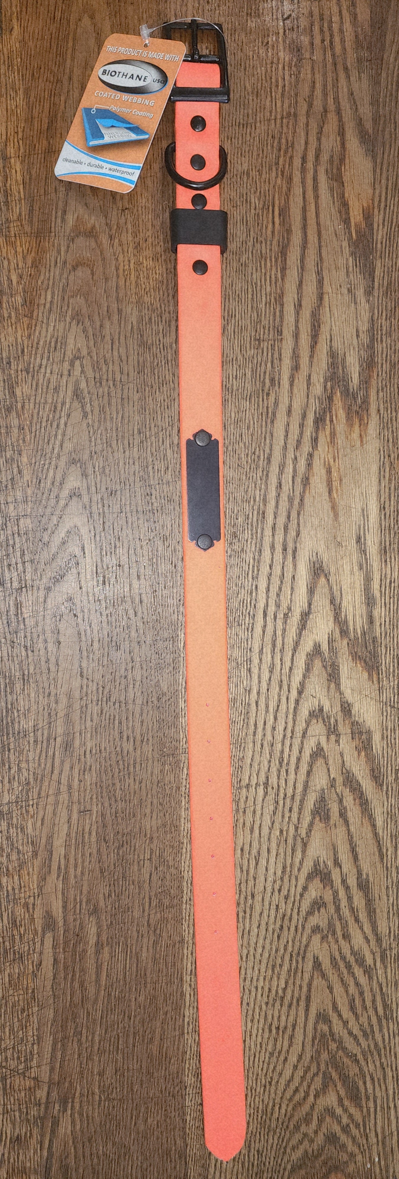 Biothane Coated Nylon Dog Collar w/ Name Plate Large