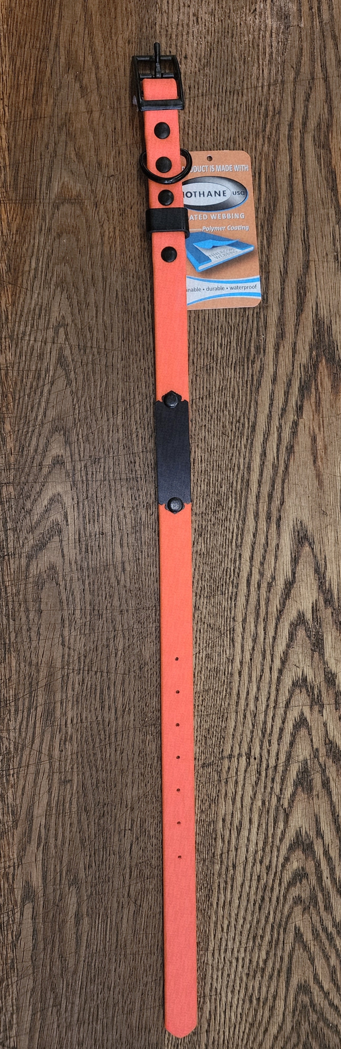 Biothane Coated Nylon Dog Collar w/ Name Plate Small