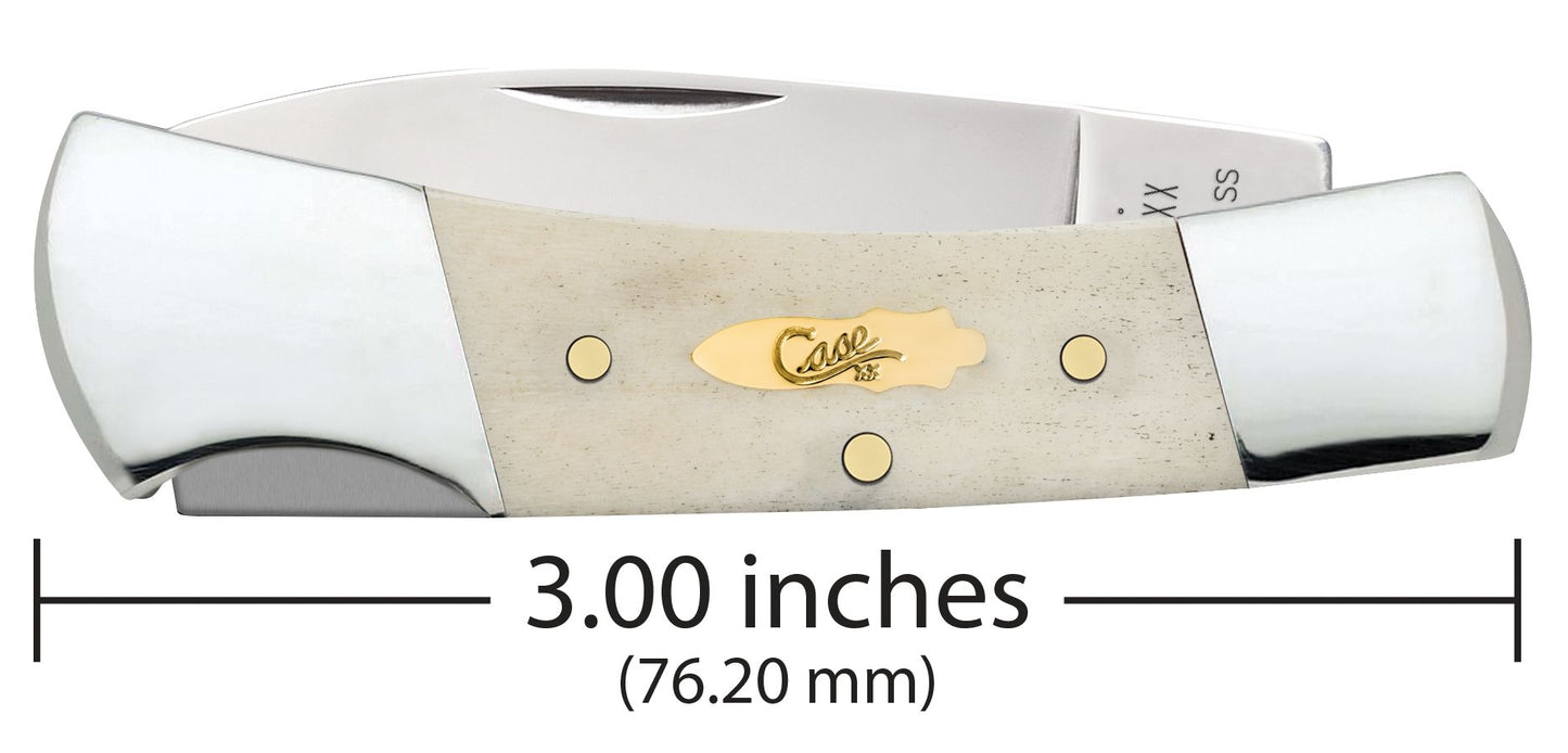 Case Knife Natural Bone Smooth Lockback 11026
