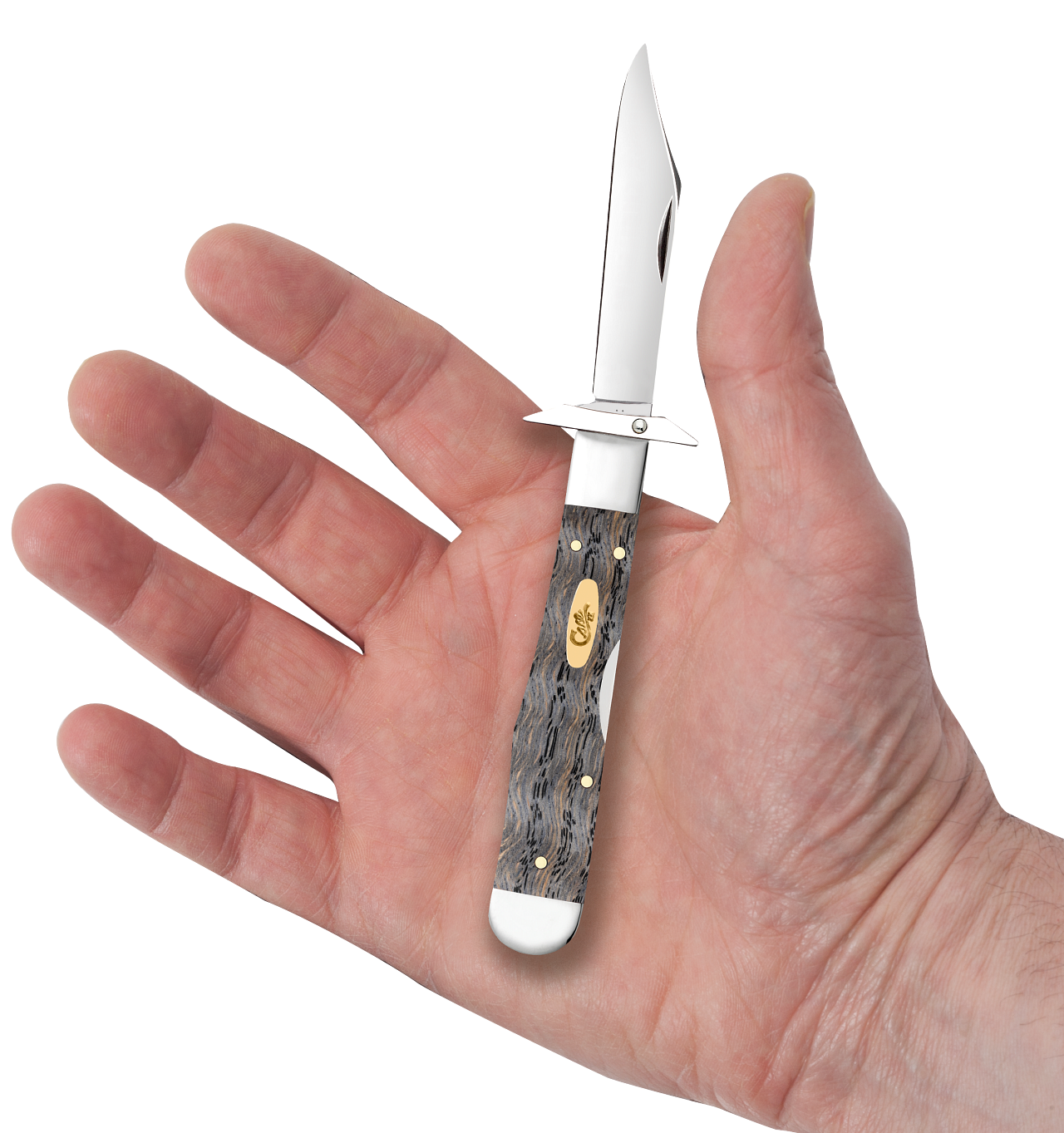 Case Knife Black Curly Oak Wood Smooth Cheetah Cub 14013