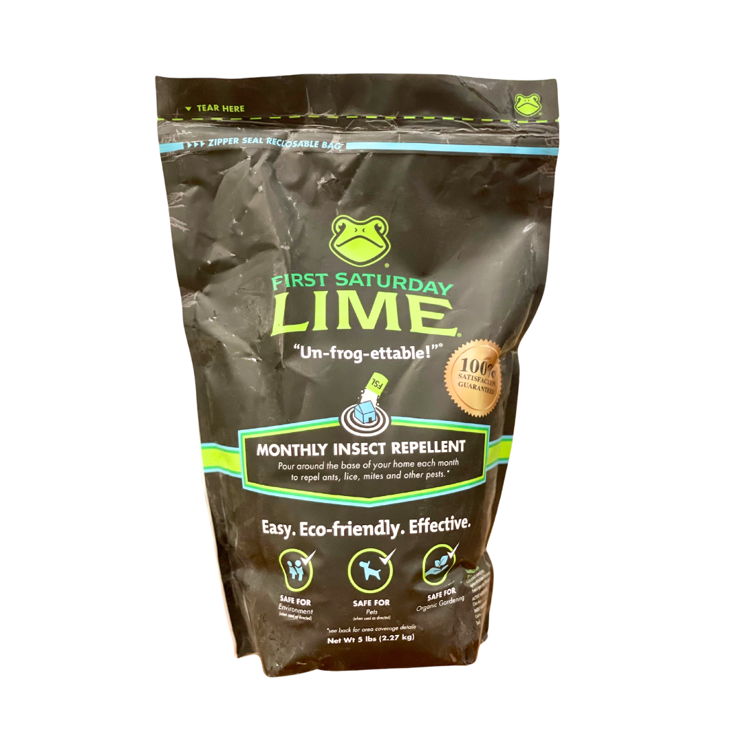 First Saturday Lime