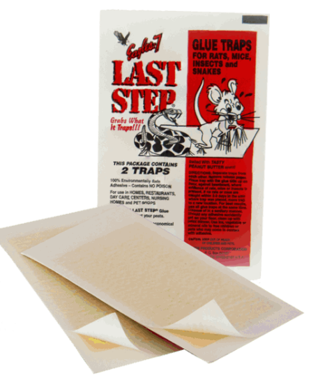 Eagle 7 Last Step Rat & Mouse Glue Traps