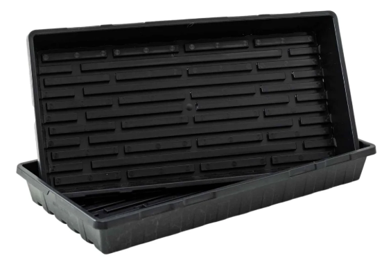 Black Tray
