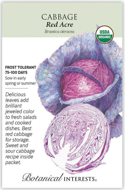 Red Acre Cabbage