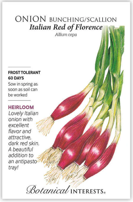 Italian Onion