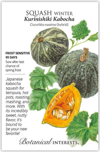 Kabocha Winter Squash