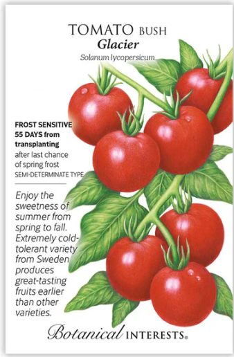 Glacier Bush Tomato