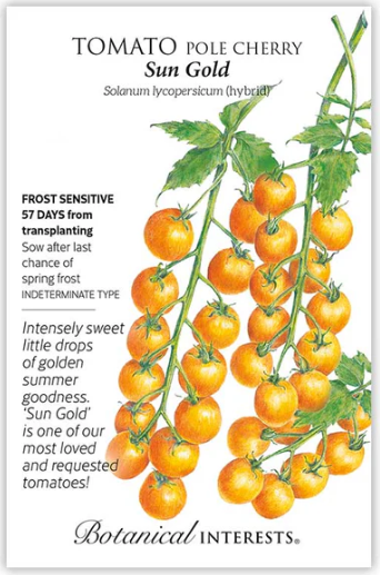 Sun Gold Cherry Tomato