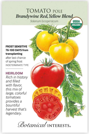 Brandywine Tomato