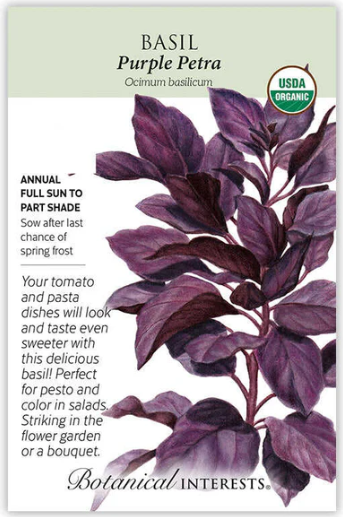 Purple Petra Basil