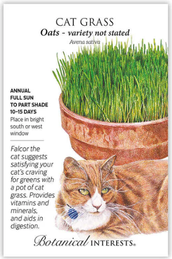 Cat Grass