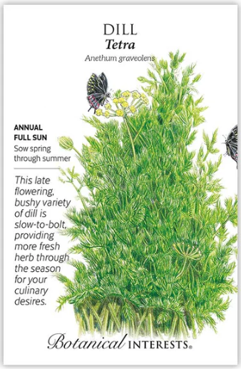Dill