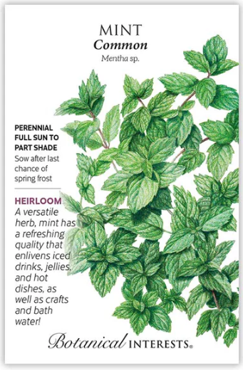 Mint