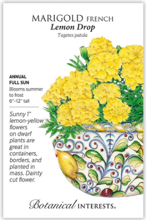 Lemon Drop French Marigold