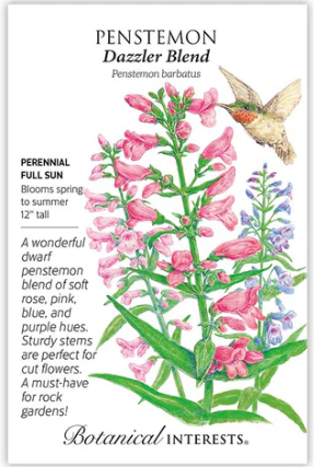 Dazzler Blend Penstemon