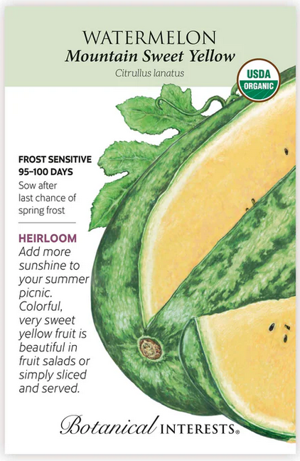 Mountain Sweet Yellow Watermelon
