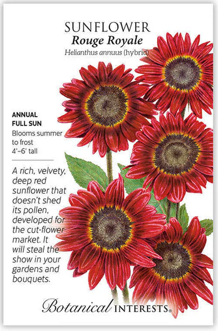 Rouge Royale Sunflower Seeds