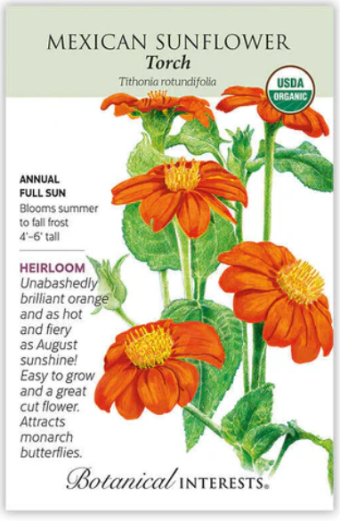 Torch Mexican Sunflower Seeds