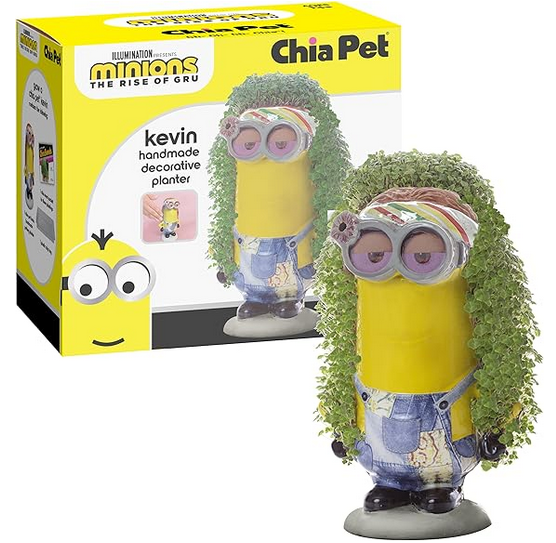 Kevin Chia Pet