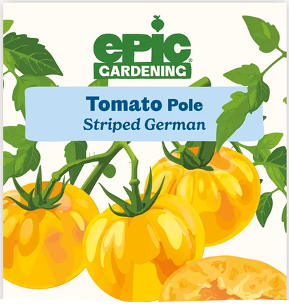Striped German Pole Tomato