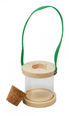 Kid Firefly Lantern