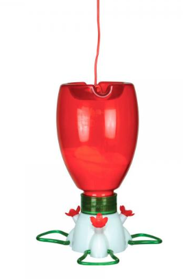 Hummingbird Feeder Ready to Feed