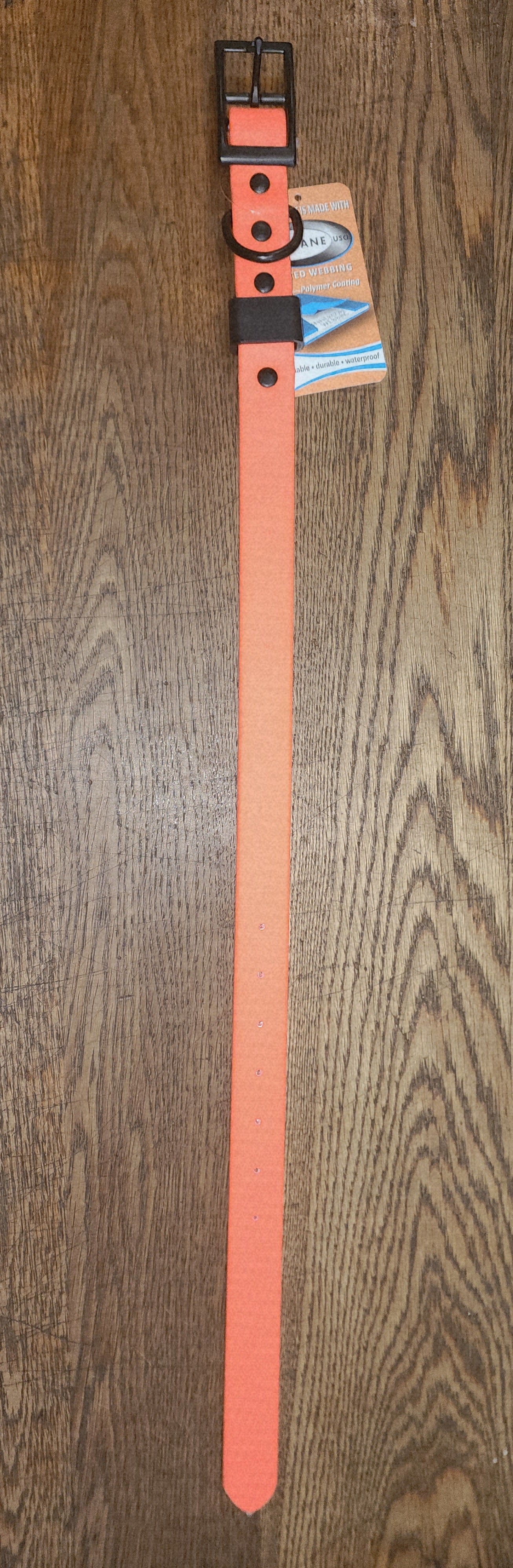 Biothane Coated Nylon Dog Collar Large