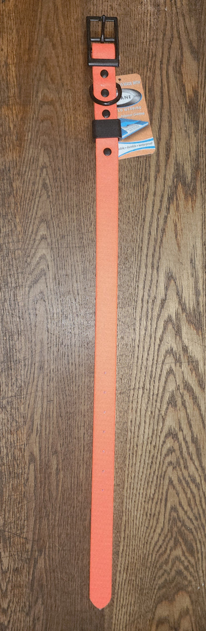 Biothane Coated Nylon Dog Collar Large