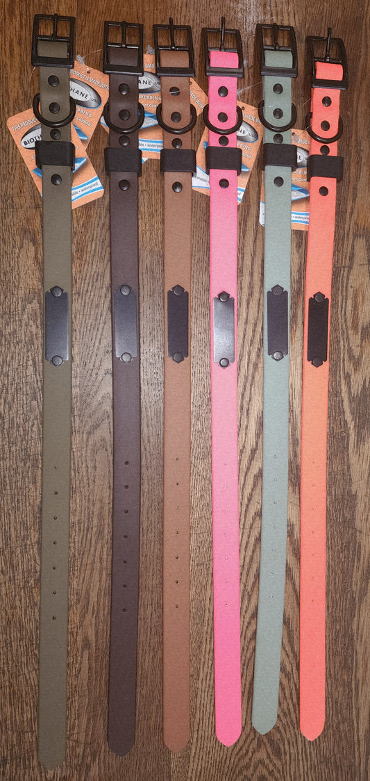 Biothane Coated Nylon Dog Collar w/ Name Plate Large