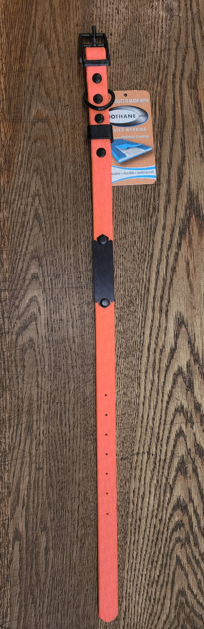 Biothane Coated Nylon Dog Collar w/ Name Plate Small