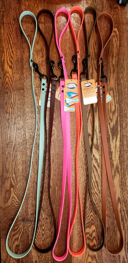Biothane Coated Nylon Dog Leash
