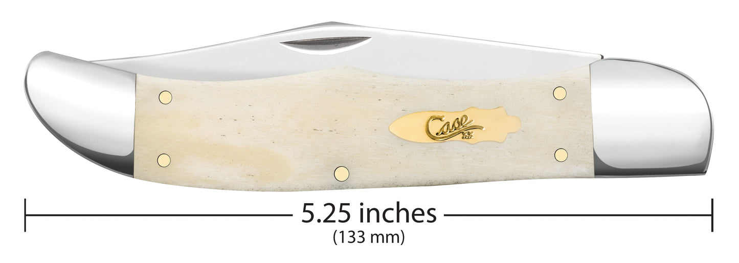 Case Knife Natural Bone Smooth Large Folding Hunter 11024