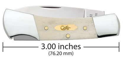 Case Knife Natural Bone Smooth Lockback 11026