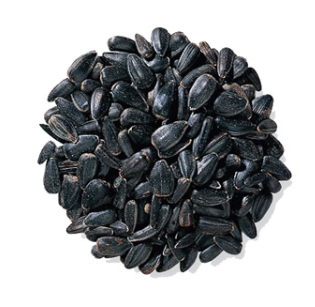 Black Oil Sunflower Seed 25lbs