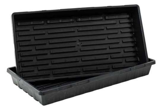 Black Tray