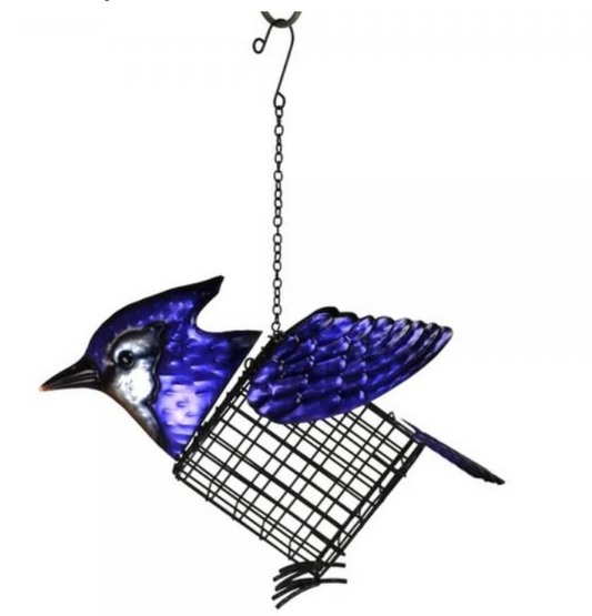 Blue Jay Suet Feeder