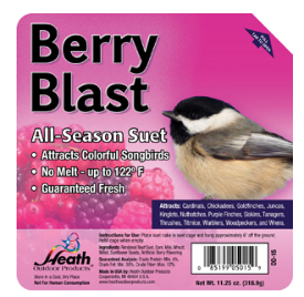 Berry Blast Suet