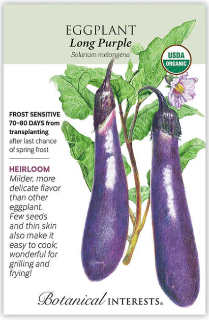 Purple Eggplant