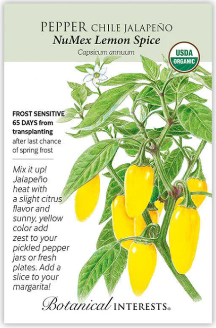 Jalapeno Chile Pepper