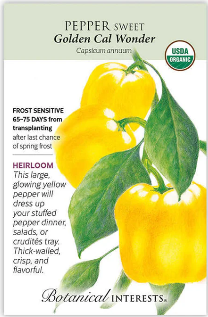 Golden Sweet Pepper