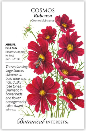 Rubenza Cosmos
