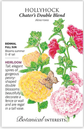 Chater's Double Hollyhock
